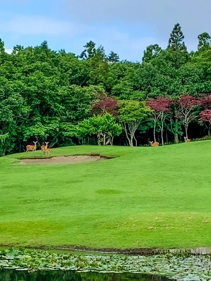 *** Luxe tent Muroran Gramping - Golf Resort Japan