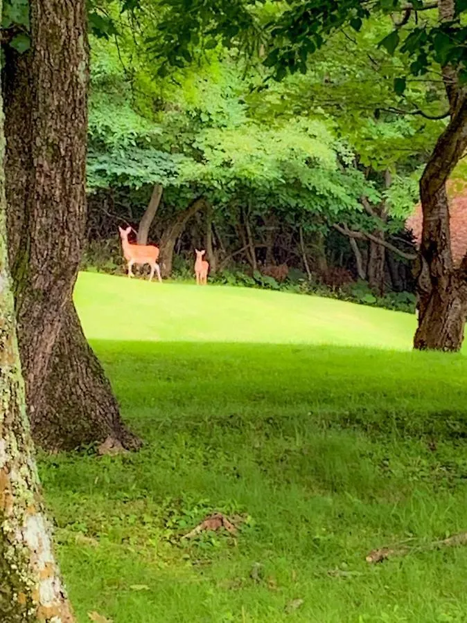Muroran Gramping - Golf Resort